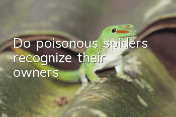 Do poisonous spiders recognize their owners?