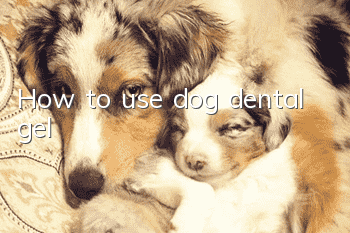 How to use dog dental gel