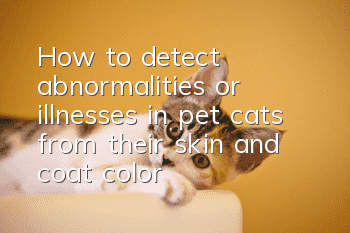 How to detect abnormalities or illnesses in pet cats from their skin and coat color