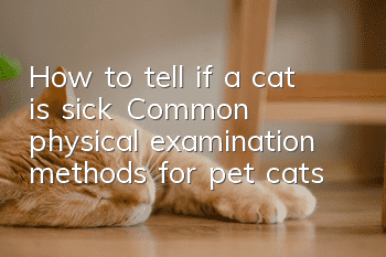 How to tell if a cat is sick? Common physical examination methods for pet cats