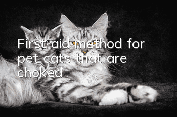 First aid method for pet cats that are choked