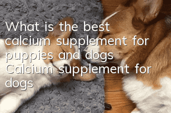 What is the best calcium supplement for puppies and dogs? Calcium supplement for dogs!