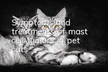 Symptoms and treatments of mast cell tumors in pet cats