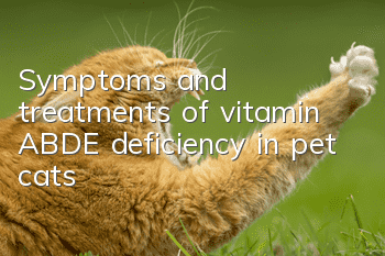 Symptoms and treatments of vitamin ABDE deficiency in pet cats