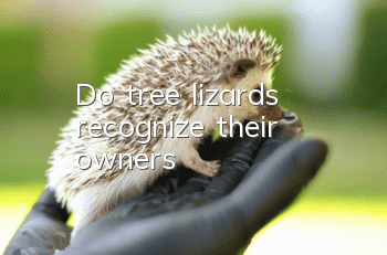 Do tree lizards recognize their owners?