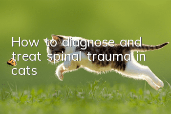 How to diagnose and treat spinal trauma in cats?