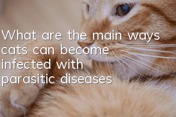 What are the main ways cats can become infected with parasitic diseases?