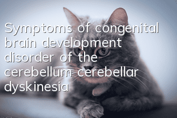 Symptoms of congenital brain development disorder of the cerebellum (cerebellar dyskinesia) in cats