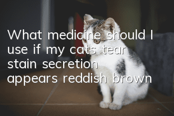 What medicine should I use if my cat’s tear stain secretion appears reddish brown?