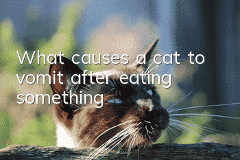 What causes a cat to vomit after eating something?