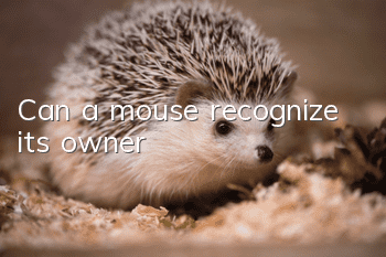 Can a mouse recognize its owner?
