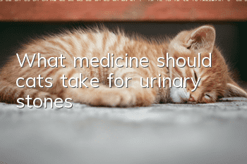 What medicine should cats take for urinary stones?