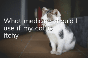 What medicine should I use if my cat is itchy?
