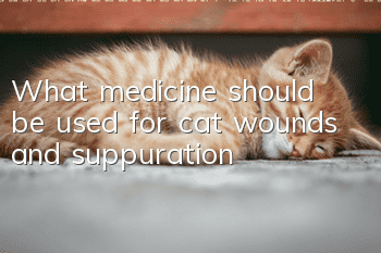 What medicine should be used for cat wounds and suppuration?