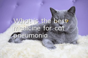 What is the best medicine for cat pneumonia?
