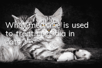 What medicine is used to treat coccidia in cats?