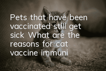 Pets that have been vaccinated still get sick? What are the reasons for cat vaccine immunity failure?