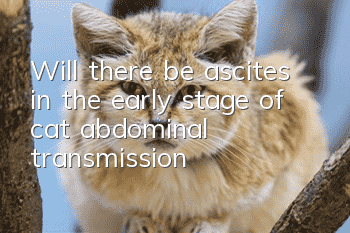Will there be ascites in the early stage of cat abdominal transmission?