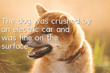 The dog was crushed by an electric car and was fine on the surface