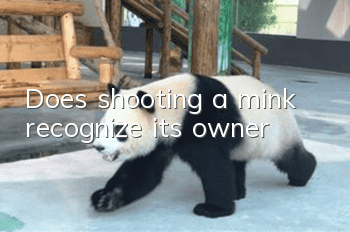Does shooting a mink recognize its owner?