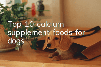 Top 10 calcium supplement foods for dogs