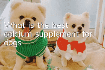 What is the best calcium supplement for dogs?