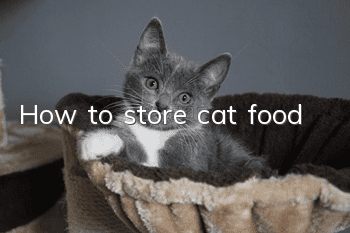 How to store cat food