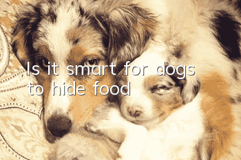 Is it smart for dogs to hide food?
