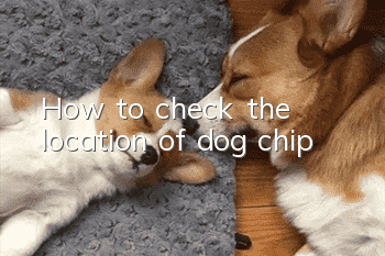 How to check the location of dog chip