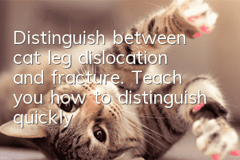 Distinguish between cat leg dislocation and fracture. Teach you how to distinguish quickly in one minute!