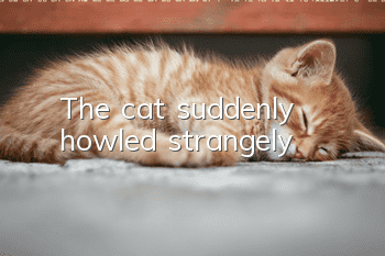 The cat suddenly howled strangely