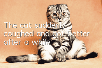The cat suddenly coughed and got better after a while