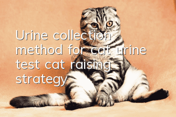 Urine collection method for cat urine test, cat raising strategy!