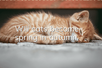Will cats become spring in autumn?