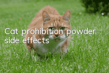 Cat prohibition powder side effects