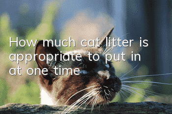 How much cat litter is appropriate to put in at one time?