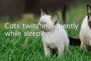 Cats twitch frequently while sleeping
