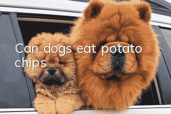 Can dogs eat potato chips?