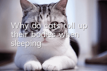 Why do cats roll up their bodies when sleeping?