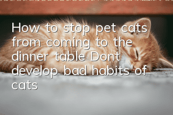 How to stop pet cats from coming to the dinner table? Don’t develop bad habits of cats!