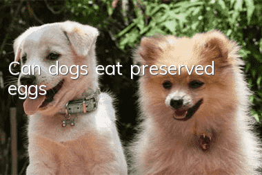 Can dogs eat preserved eggs?