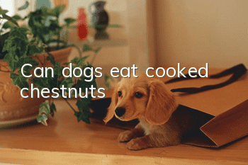 Can dogs eat cooked chestnuts?