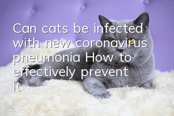 Can cats be infected with new coronavirus pneumonia? How to effectively prevent it?