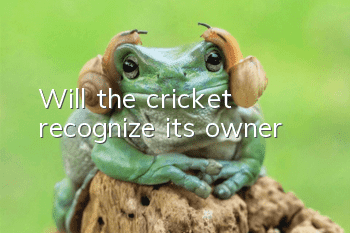 Will the cricket recognize its owner?