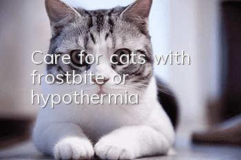 Care for cats with frostbite or hypothermia