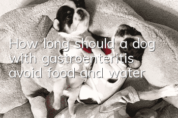 How long should a dog with gastroenteritis avoid food and water?