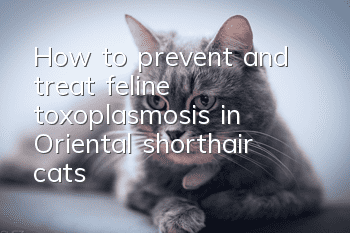 How to prevent and treat feline toxoplasmosis in Oriental shorthair cats?