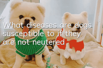 What diseases are dogs susceptible to if they are not neutered?