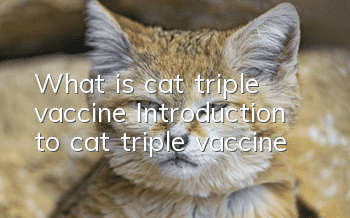 What is cat triple vaccine? Introduction to cat triple vaccine