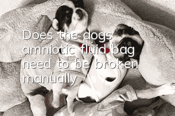 Does the dog’s amniotic fluid bag need to be broken manually?